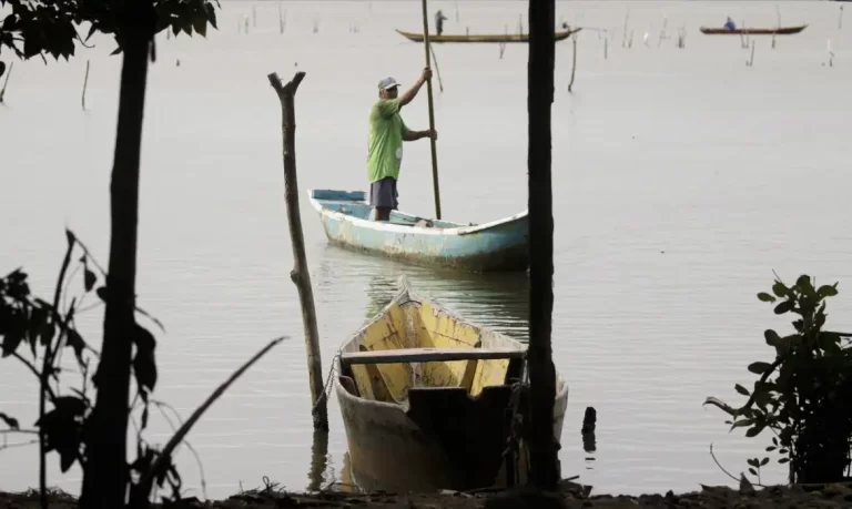 © Joédson Alves/Agência Brasil - https://agenciabrasil.ebc.com.br/direitos-humanos/noticia/2025-04/negligencia-do-estado-afeta-32-mil-familias-de-pescadores-artesanais