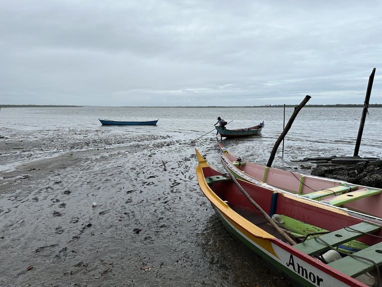 MPA adverte mais de 950 mil pescadores e pescadoras artesanais que não enviaram o REAP no prazo