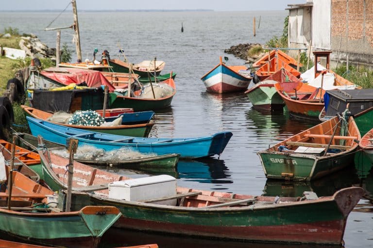 Comissão mista que analisa mudanças no seguro-defeso ouvirá representantes dos pescadores; participe