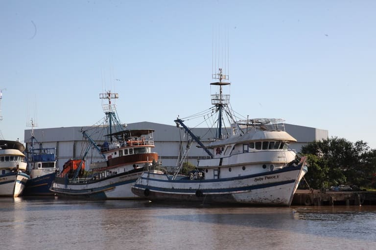 MPA reforça prazos para certificação sanitária obrigatória a bordo