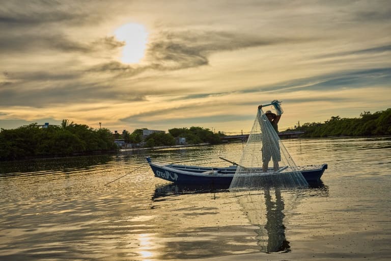 Pescadores profissionais têm até 31 de dezembro para enviar o REAP
